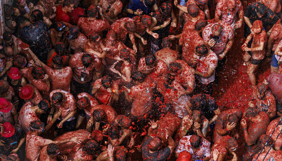 Red chaos in the streets of Buñol during La Tomatina