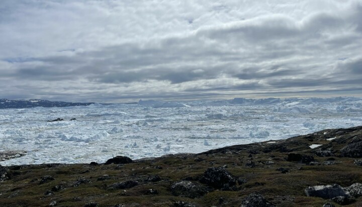 About 80% of Greenland is covered in ice.