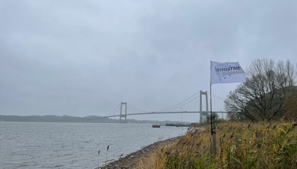 Lillebælt er et af de mest populære steder at dykke i Danmark.