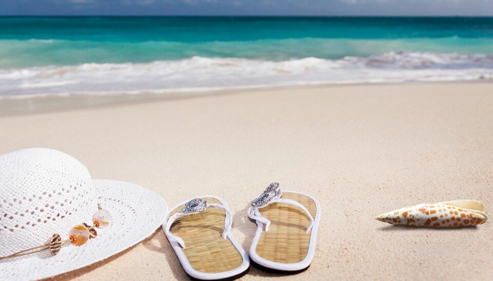 beach, sand, sea, sandy beach, vacations, caribbean, coast, summer, nature, coneflower, flip-flop, shell