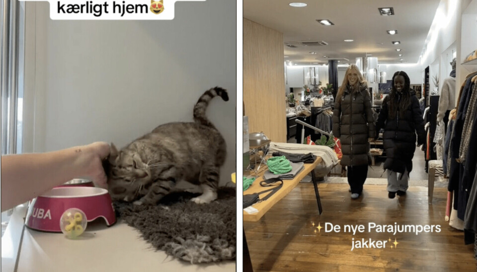 TikTok er den nye darling i Viborgs erhvervsliv