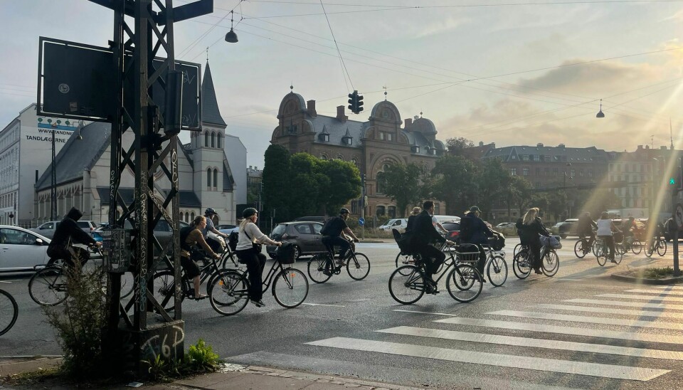 Locals and tourists navigate a crowded Copenhagen bike lane, where sharing the road is part of the city’s daily rhythm.