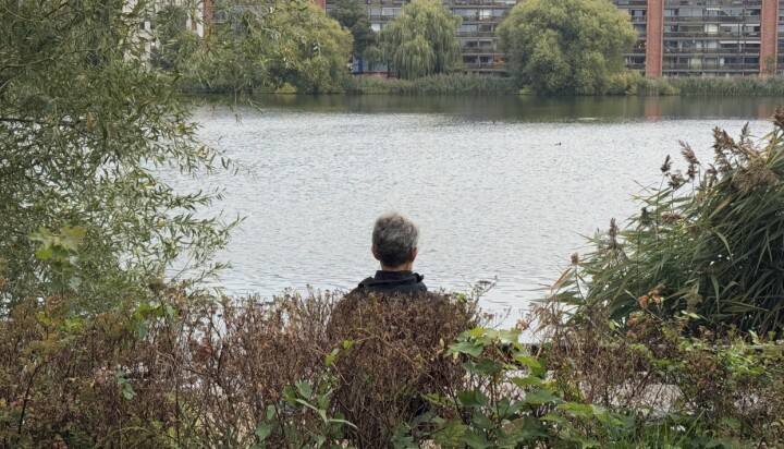 According to data from Danmarks Statistik from January 2025, people over 80 years made up 2.1% of the population in Copenhagen, which has increased since 2018