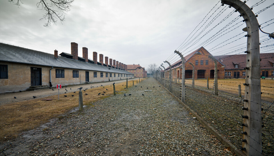Auschwitz , Polen