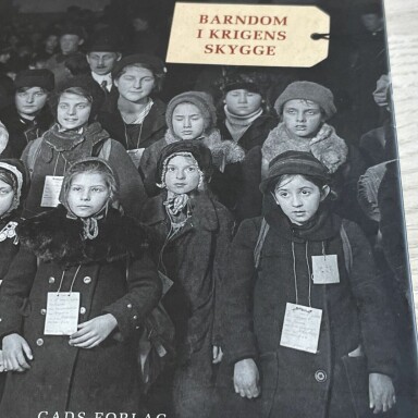 Fra wienerbarn til oldefar