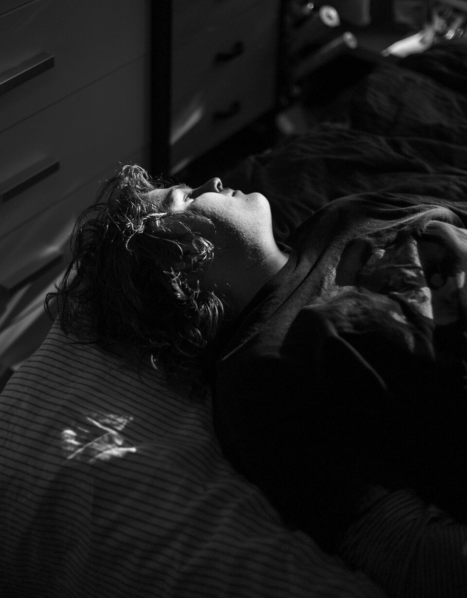 Together Oscar resting in his bed, face towards the sun.