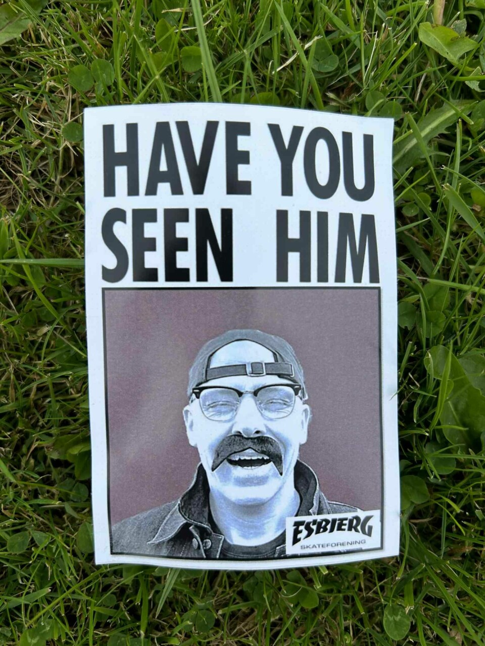 The Search for BomBom