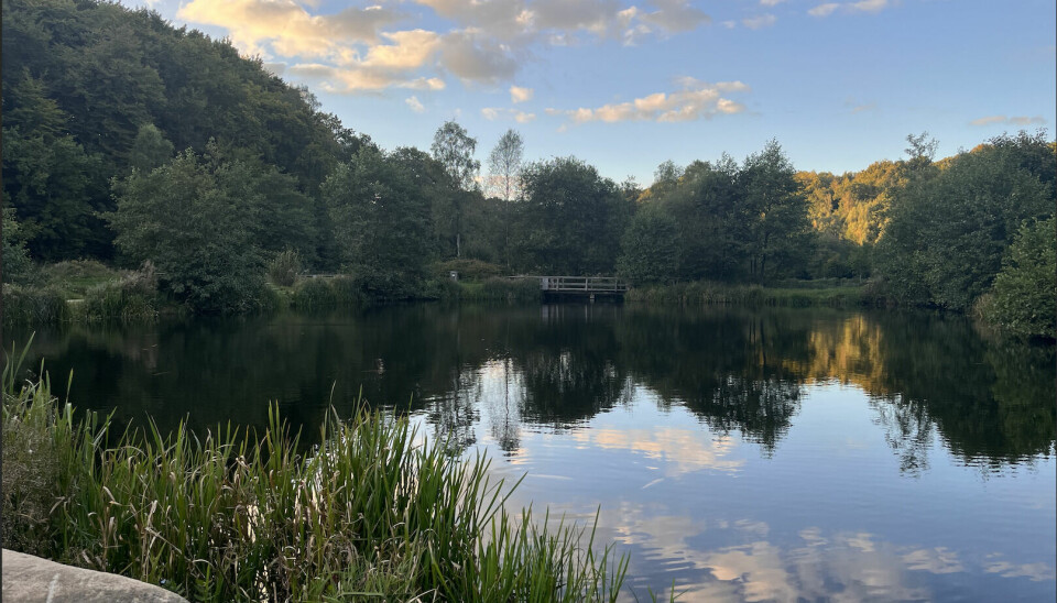Søen ved Pinds Mølle
