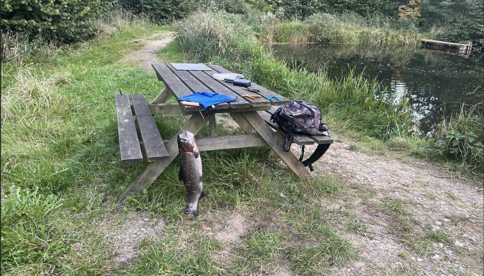 Et bord med trofæer og udstyr.