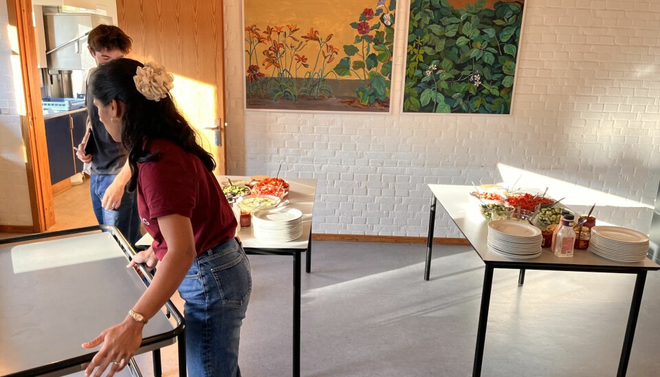 Buffeten forberedes.
