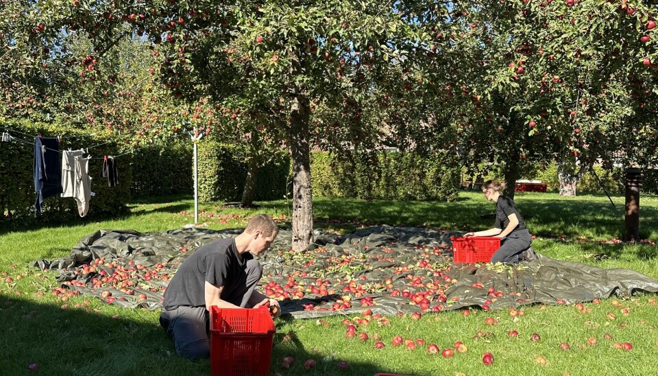 Mikkel og Frederikke havde kun været kærester et år da de blev gift