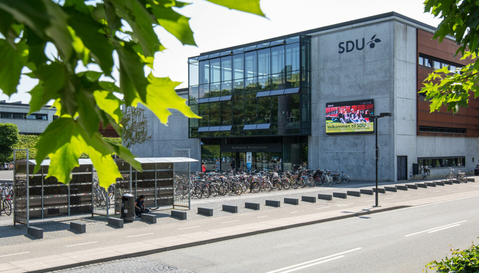 SDU vil give afslag til alle udenlandske ansøgere uden for EU til februar 2026, mens universitetet undersøger mistanker om misbrug af studievisum.