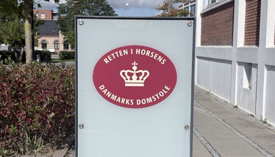 Sagen om tyveri fandt sted i Retten i Horsens.