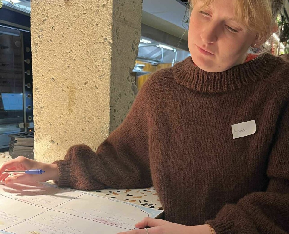 Anna Fredslund Sørensen lægger sidste hånd på løsningsforslaget.