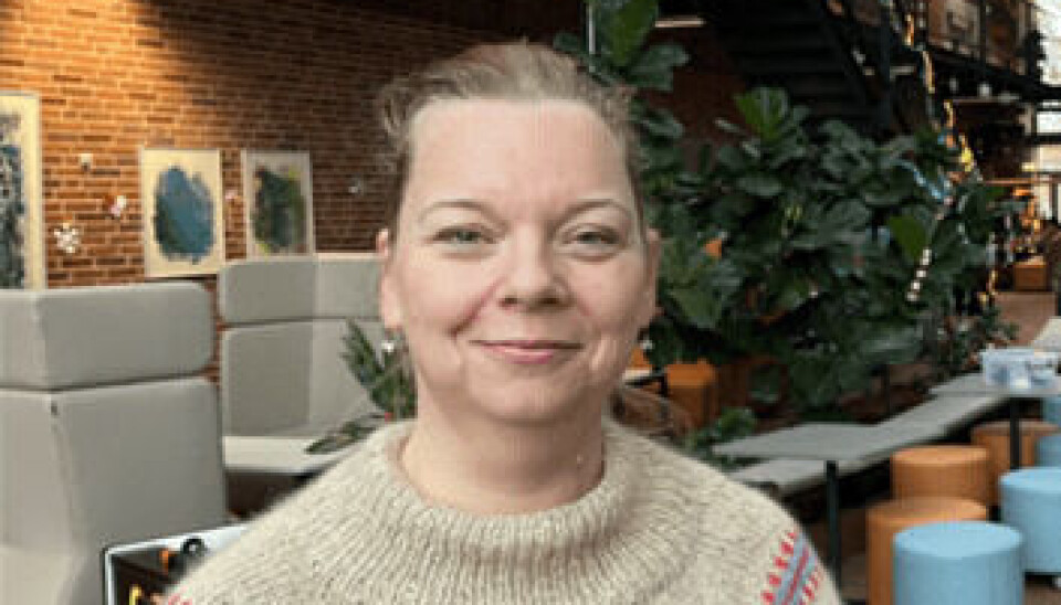 Marianne Merrild, lektor på pædagoguddannelsen i Ikast