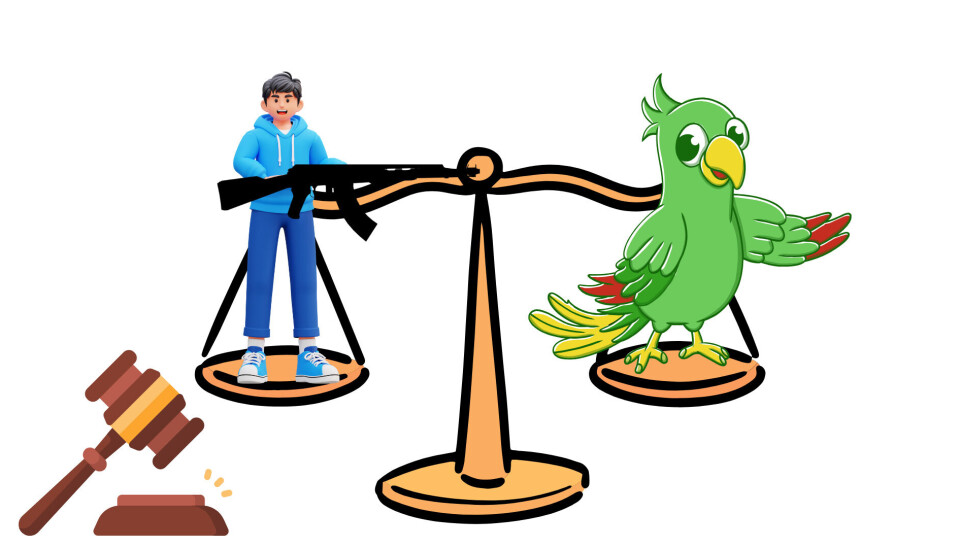 Den tiltalte skød ikke papegøjen, men blev dømt for grov vold begået på baren Papegøjen i Kolding.