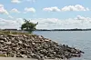havenenene