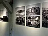 Photo exhibition with photos from Greenland at Nordatlanterens Brygge.