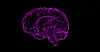 Source: sbtlneet - Pixabay