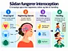 Infografik om, hvordan kroppens signaler registreres, fortolkes og fører til handling.
